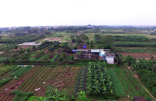 GÓC NHÌN ĐẠI BIỂU: NÔNG NGHIỆP HÀ NỘI - NHỮNG CÁNH ĐỒNG BỊ BỎ QUÊN